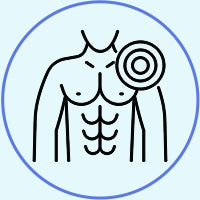 Stabilizes Shoulder Joint: