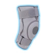 knee support with hinge