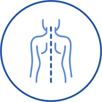 Improves Posture