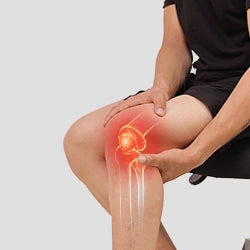 Knee