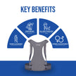 posture corrector belt key benefits
