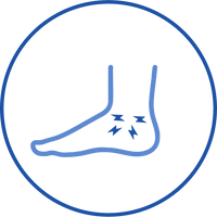 Immobilizes the Ankle Joint