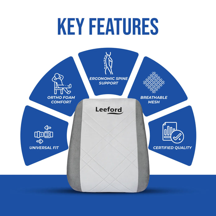 Back Rest for Lower Back Pain | Office, Car, Home Use