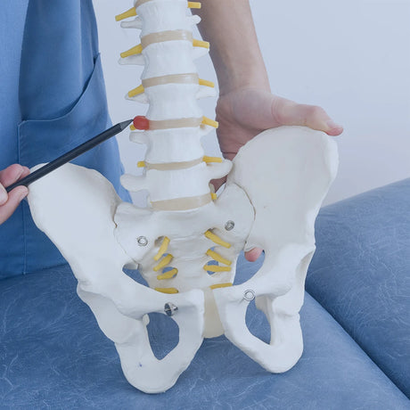 During long drives or travel